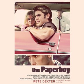 The Paperboy thumbnail