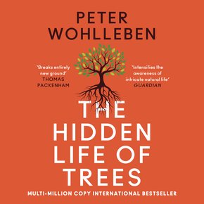 The Hidden Life of Trees thumbnail