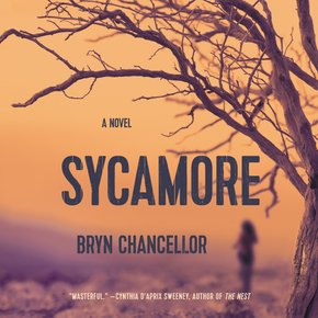 Sycamore thumbnail