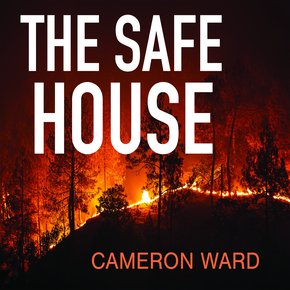 The Safe House thumbnail