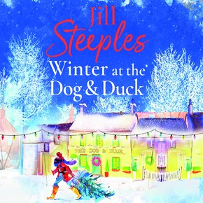 Winter at the Dog & Duck thumbnail