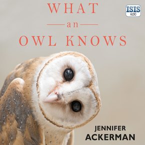 What an Owl Knows thumbnail