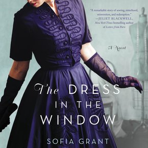 The Dress in the Window thumbnail