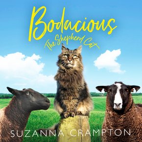 Bodacious: The Shepherd Cat thumbnail