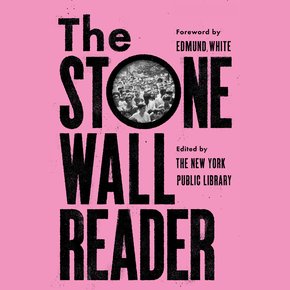 The Stonewall Reader thumbnail