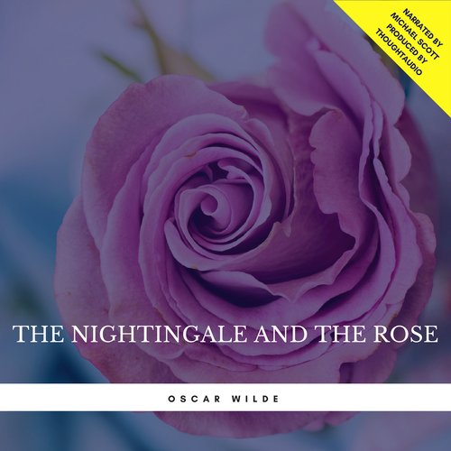 uLibraryDigital Audio Thumbnail