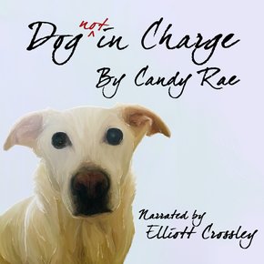Dog not in Charge thumbnail