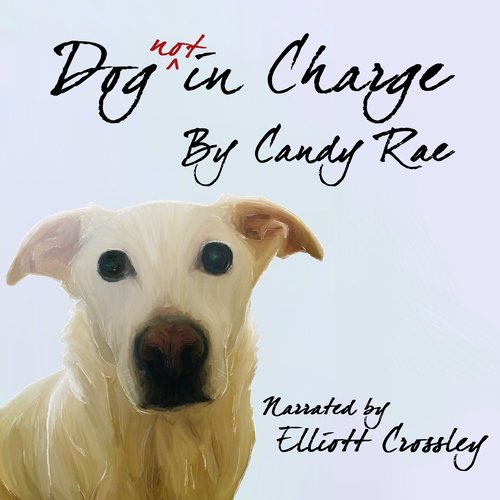 uLibraryDigital Audio Thumbnail