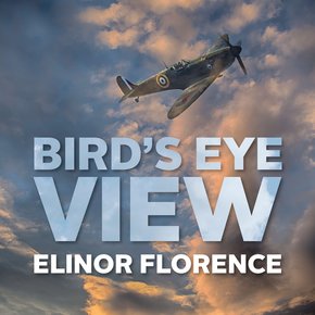 Bird's Eye View thumbnail