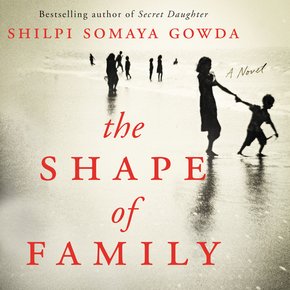 The Shape of Family thumbnail