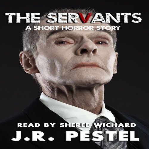 uLibraryDigital Audio Thumbnail