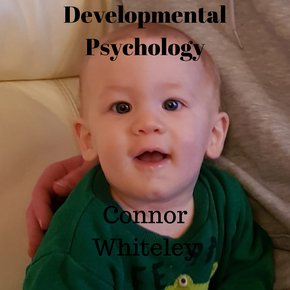 Developmental Psychology thumbnail