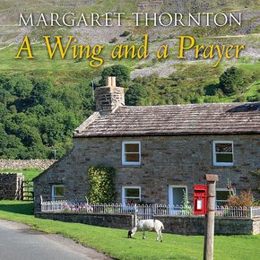 A Wing And A Prayer thumbnail