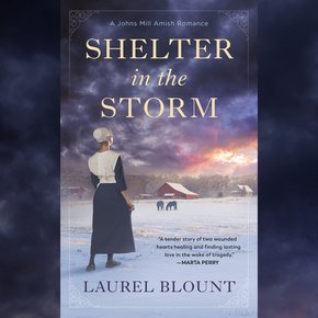 Shelter in the Storm thumbnail