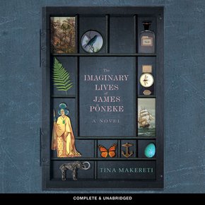 The Imaginary Lives of James P?neke thumbnail