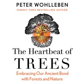 The Heartbeat of Trees thumbnail