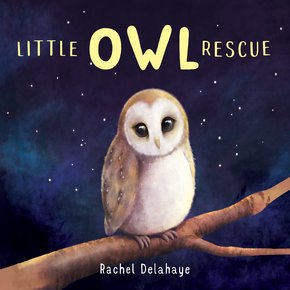 Little Owl Rescue thumbnail