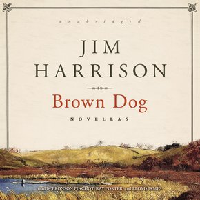 Brown Dog thumbnail