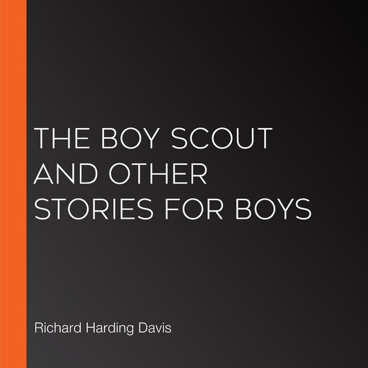 The Boy Scout And Other Stories For Boys