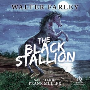 The Black Stallion thumbnail