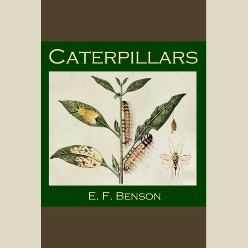 uLibraryDigital Audio Thumbnail