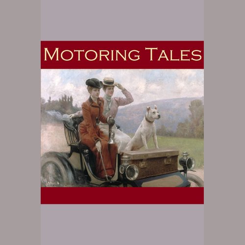 uLibraryDigital Audio Thumbnail