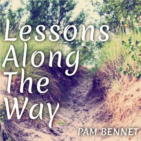 Lessons Along the Way thumbnail