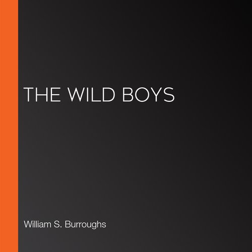 The Wild Boys