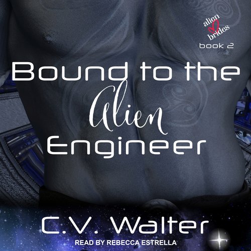 Bound to the Alien Engineer