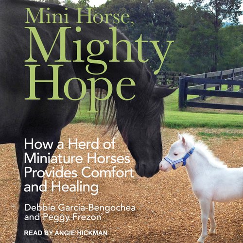 Mini Horse Mighty Hope