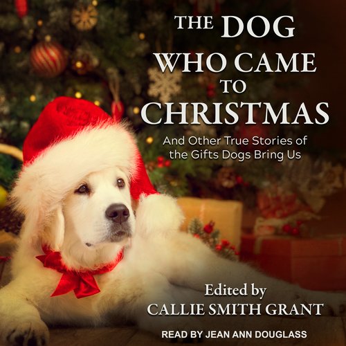 The Dog Who Came to Christmas