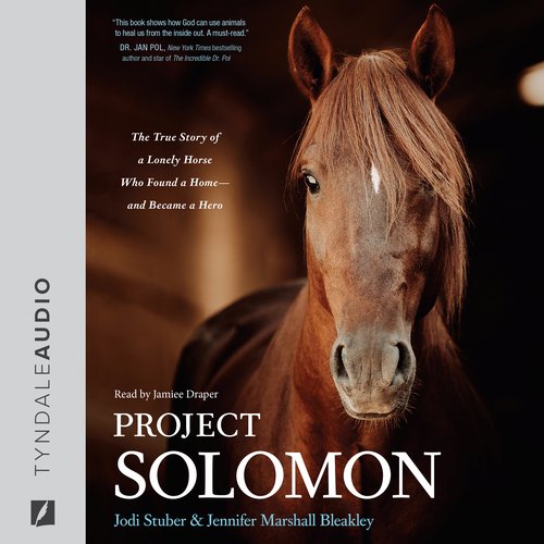 Project Solomon