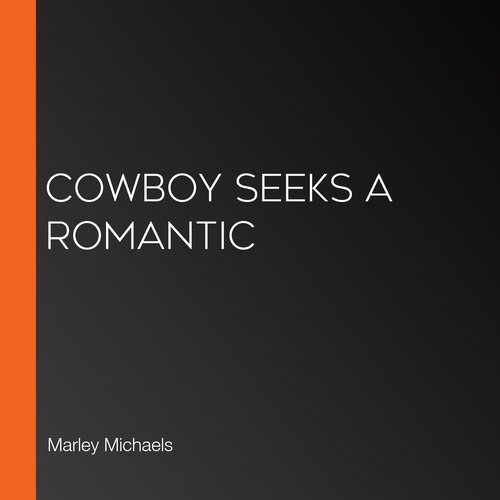 Cowboy Seeks a Romantic