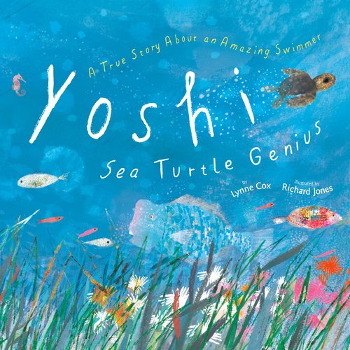 Yoshi Sea Turtle Genius