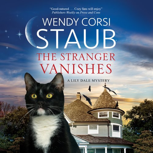 The Stranger Vanishes