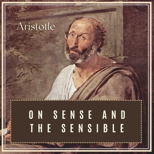 On Sense and the Sensible