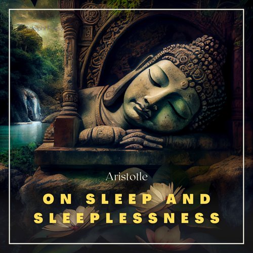 On Sleep and Sleeplessness