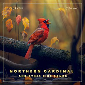 Northern Cardinal and Other Bird Songs thumbnail