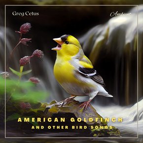 American Goldfinch and Other Bird Songs thumbnail
