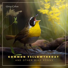 Common Yellowthroat and Other Bird Songs thumbnail