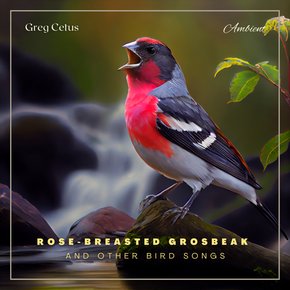 Rose-breasted Grosbeak and Other Bird Songs thumbnail