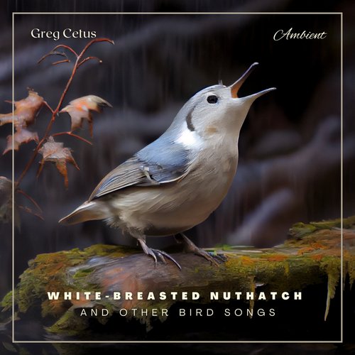 White-breasted Nuthatch and Other Bird Songs