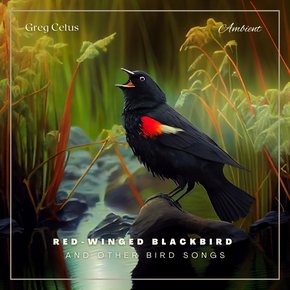 Red-winged Blackbird and Other Bird Songs thumbnail