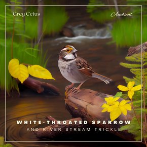 White-throated Sparrow and River Stream Trickle thumbnail