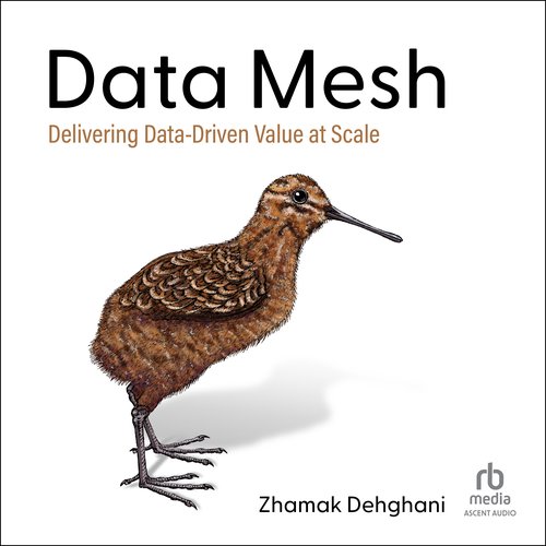 Data Mesh