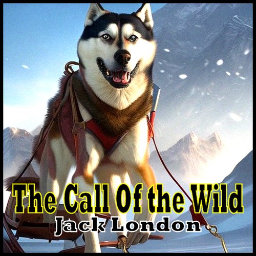 uLibraryDigital Audio Thumbnail