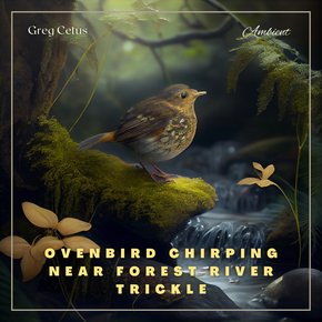 Ovenbird Chirping Near Forest River Trickle thumbnail