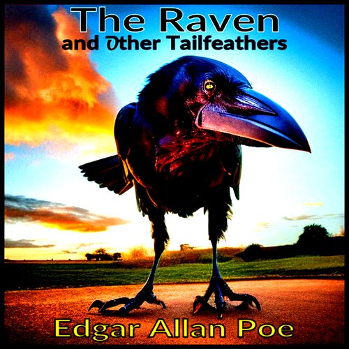 Raven The - and Other Tailfeathers