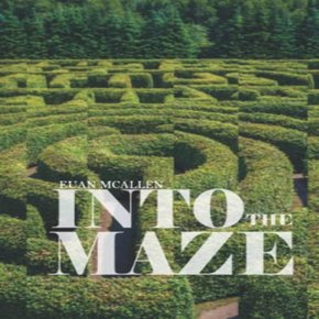 Into the Maze thumbnail