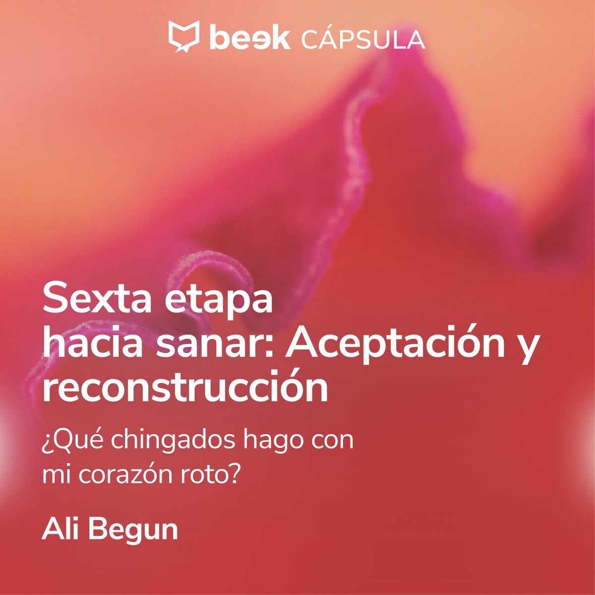 Sexta Etapa Hacia Sanar Un Corazón Roto Aceptación Y Reconstrucción Beek 4159